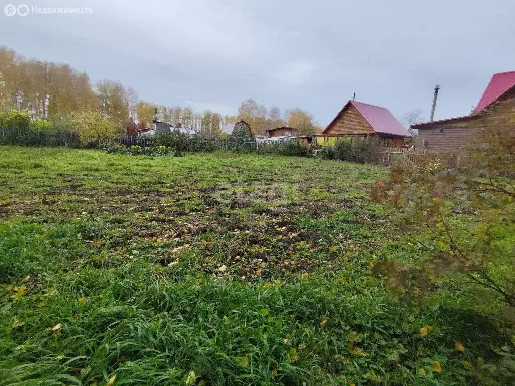 Участок в Бердск, СНТ Отдых, Садовая улица (6.3 м) - Фото 0