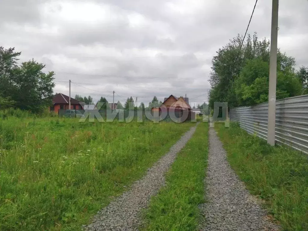 Участок в Новосибирская область, Новосибирск Сибиряк-2 СТ, 105 (5.8 ... - Фото 2