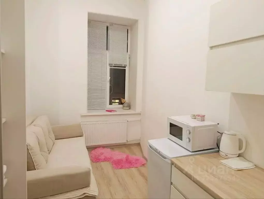 Студия Санкт-Петербург Конная ул., 20/6 (15.0 м) - Фото 2