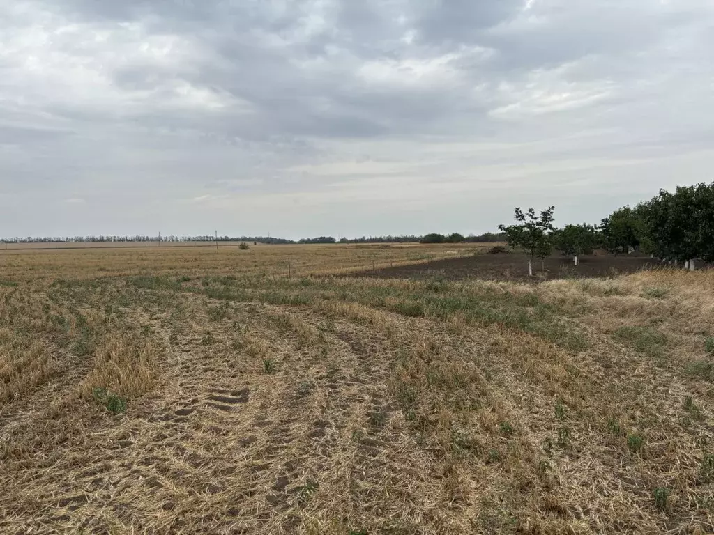 Участок в Ростовская область, Неклиновский район, Носовское с/пос, ... - Фото 2