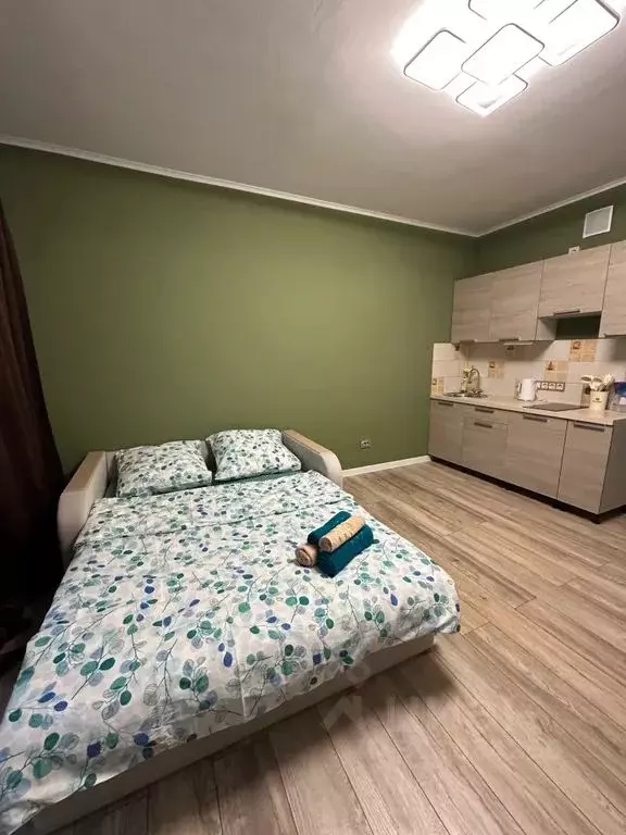 Студия Новгородская область, Великий Новгород наб. Колмовская, 71А ... - Фото 0