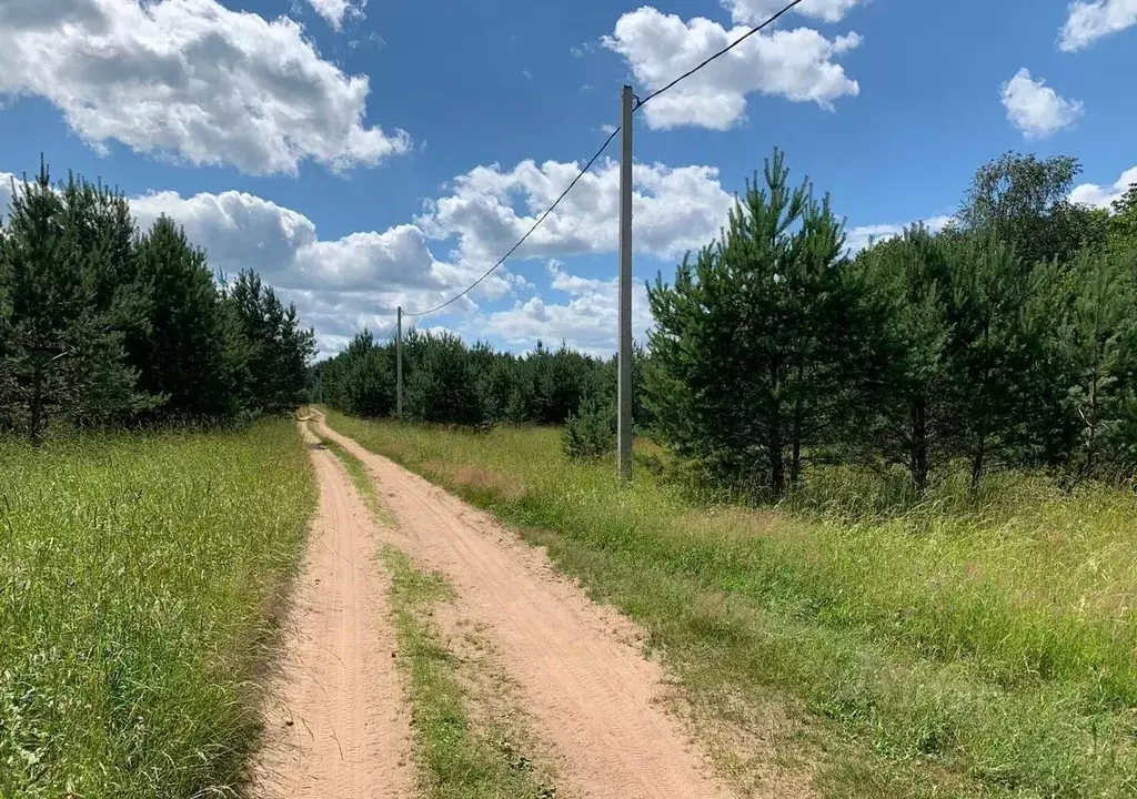 Участок в Тверская область, Осташковский городской округ, Деревня сл.  ... - Фото 1