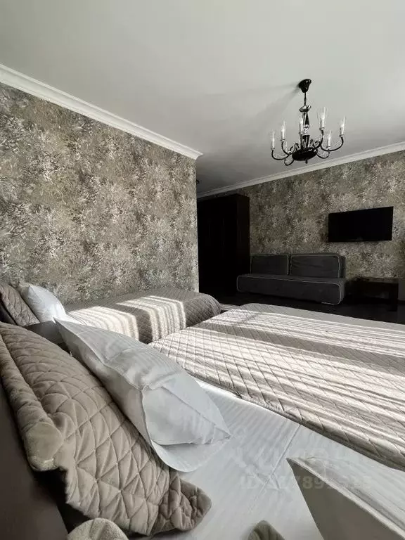 Комната Краснодарский край, Сириус пгт ул. Хуторская, 35А - Фото 0