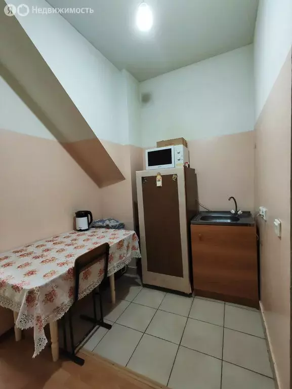 Квартира-студия: село Мельниково, улица Ленина, 93 (25.8 м) - Фото 2