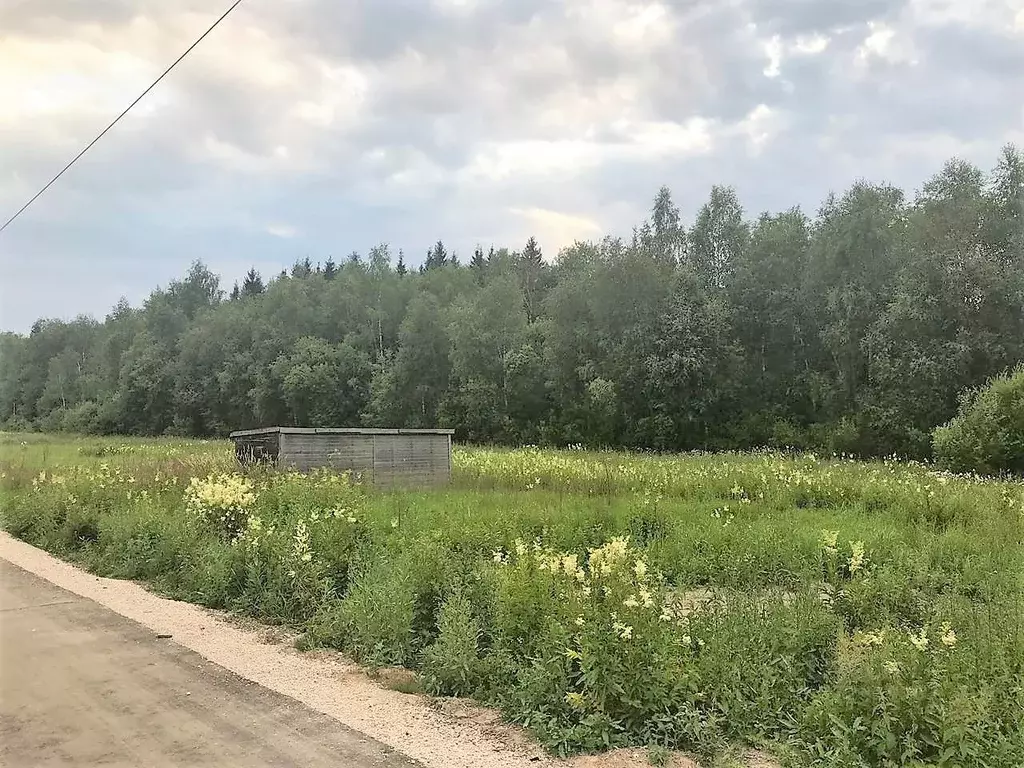 Участок в Москва д. Зверево, ул. Кубинская, 5 (12.6 сот.) - Фото 0