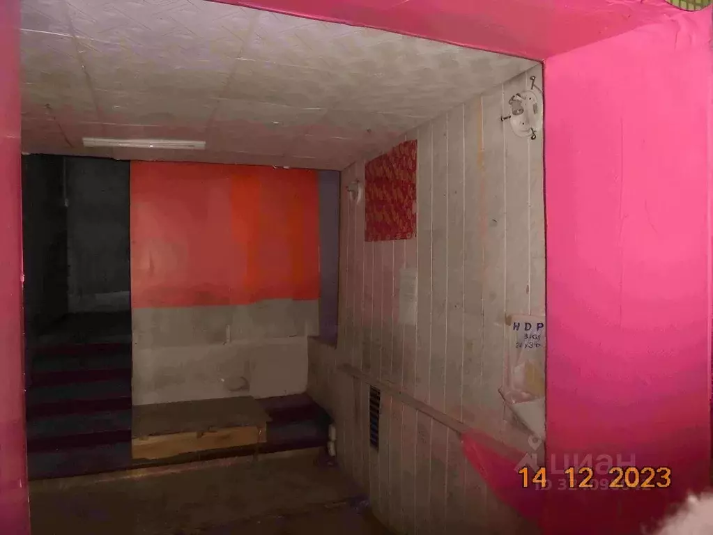 Помещение свободного назначения в Хабаровский край, ... - Фото 1