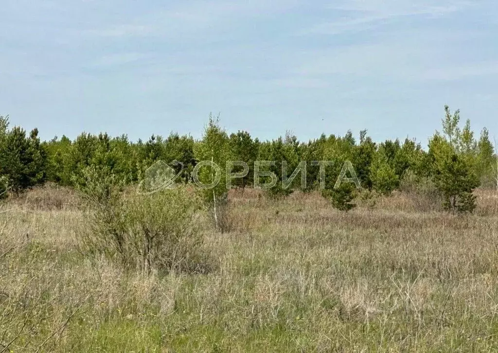 Участок в Тюменская область, Тюменский район, д. Елань  (8.25 сот.) - Фото 0