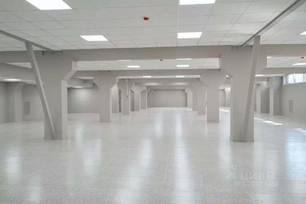 Помещение свободного назначения в Санкт-Петербург, Санкт-Петербург, ... - Фото 2