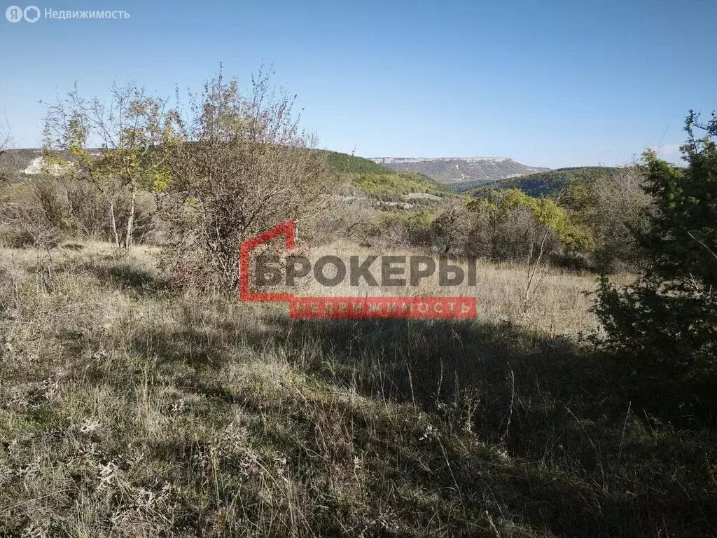 Участок в Терновский муниципальный округ, село Родное, Школьная улица ... - Фото 1