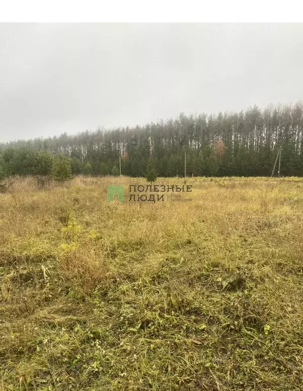 Участок в Завьяловский район, деревня Большая Венья (12 м) - Фото 2