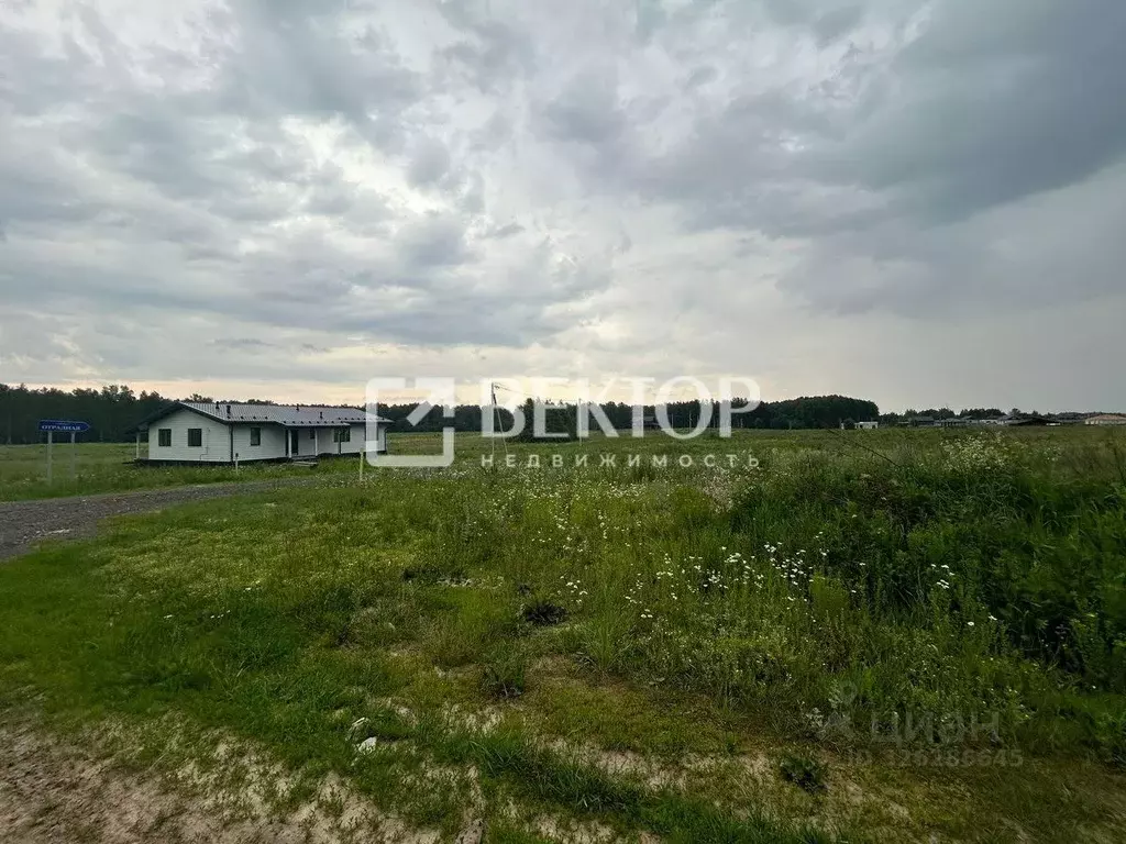 Участок в Ивановская область, Ивановский район, Беляницкое с/пос, д. ... - Фото 2