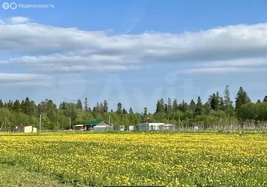 Участок в Волосовский район, Рабитицкое сельское поселение, деревня ... - Фото 0