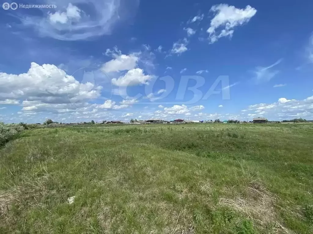 Участок в Тюменская область, Исетский муниципальный округ, деревня ... - Фото 2