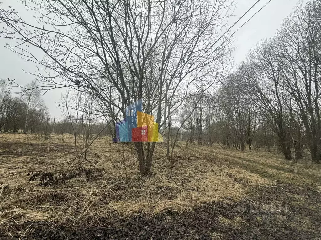 Участок в Тульская область, Тула городской округ, с. Алешня  (12.0 ... - Фото 2