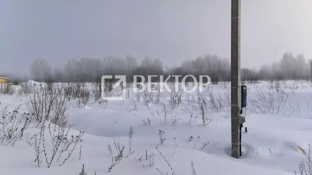 Участок в Костромская область, Кострома Первый кп, проезд Камышинский, ... - Фото 1