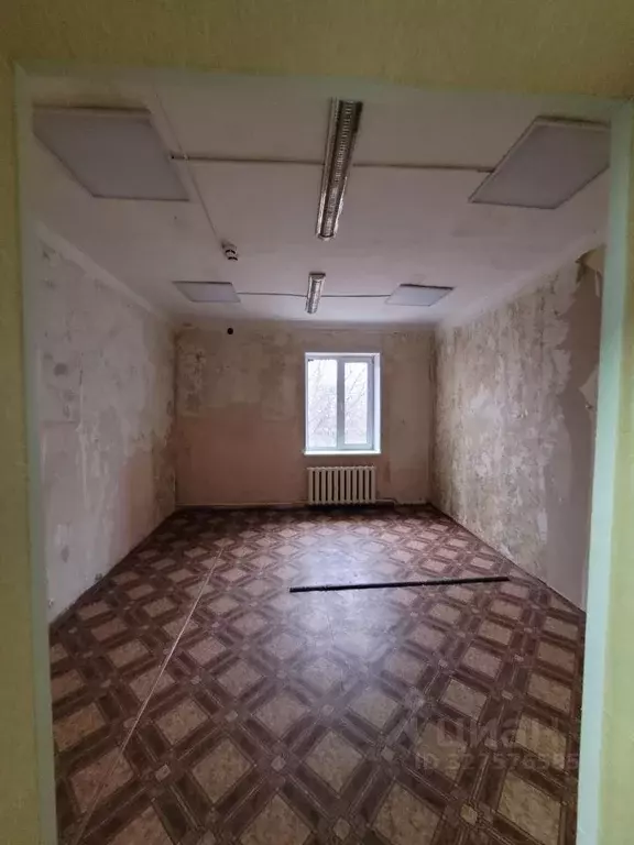 Помещение свободного назначения в Омская область, Омск Братская ул., ... - Фото 2