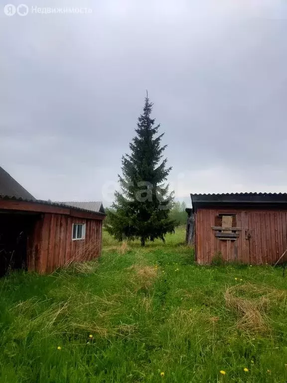 Дом в Тверская область, Весьегонский муниципальный округ, деревня ... - Фото 0