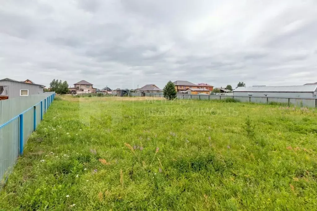 Участок в Тюменская область, Тюменский муниципальный округ, с. Чикча, ... - Фото 2