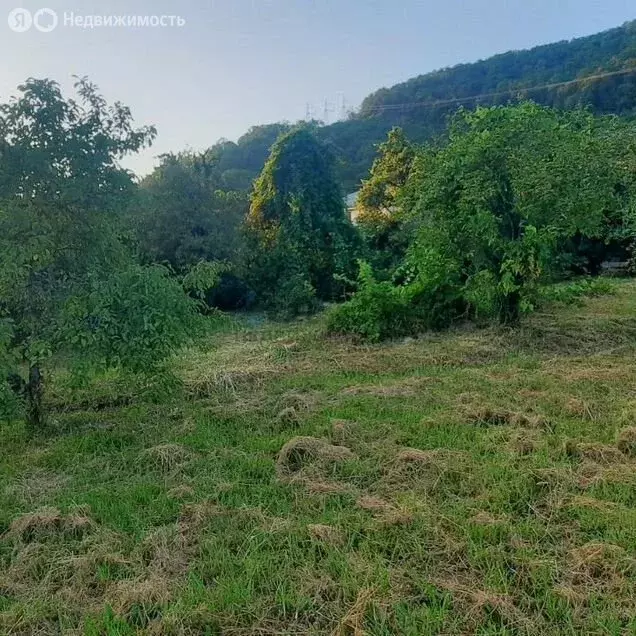 Участок в Сочи, микрорайон Волконка (8 м) - Фото 2