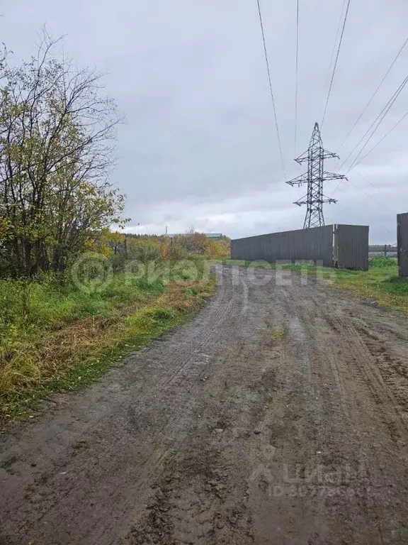 Участок в Мурманская область, Кольский район, Кильдинстрой городское ... - Фото 1