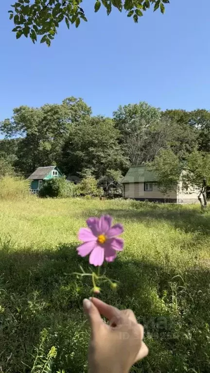 Дом в Приморский край, Надеждинский район, Заречное СНТ  (50 м) - Фото 1