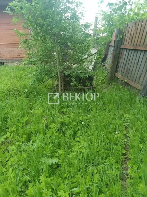 Участок в Костромская область, Буй ул. Ватутина, 7 (7.0 сот.) - Фото 1