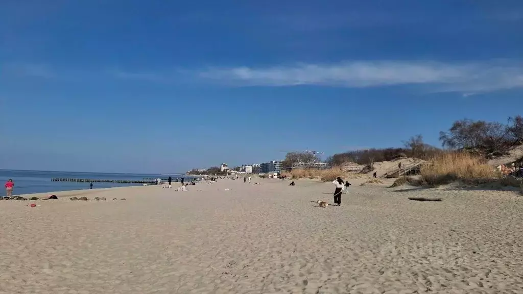 1-к кв. Калининградская область, Зеленоградск  (27.99 м) - Фото 0