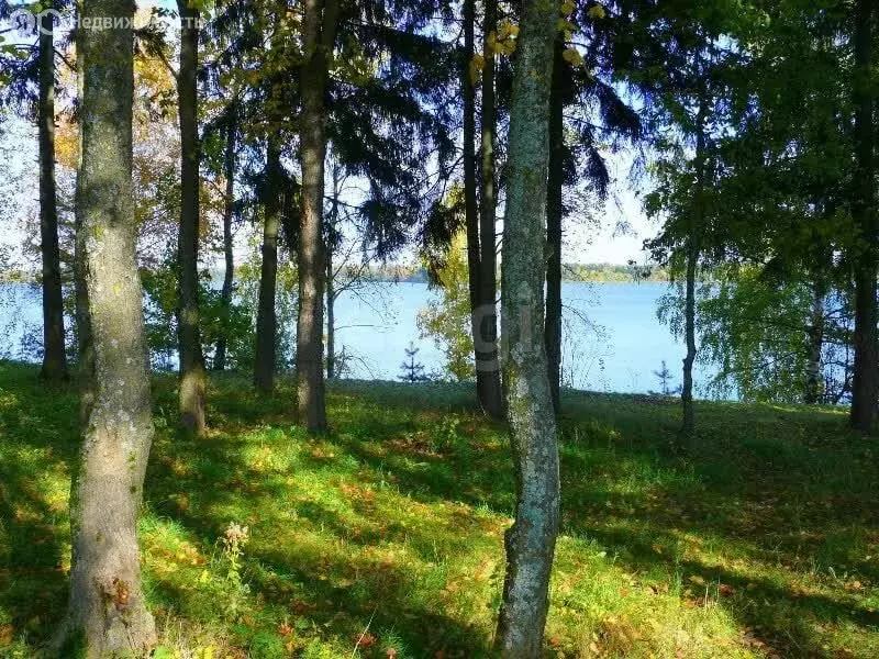 Участок в Московская область, городской округ Истра, деревня Алёхново ... - Фото 1