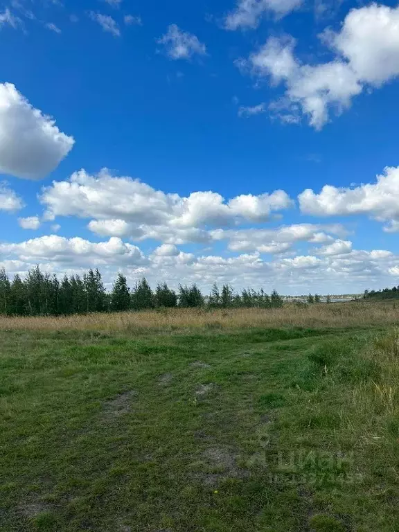 Участок в Челябинская область, Копейск Курочкино-1 СНТ, ул. Лесная ... - Фото 1