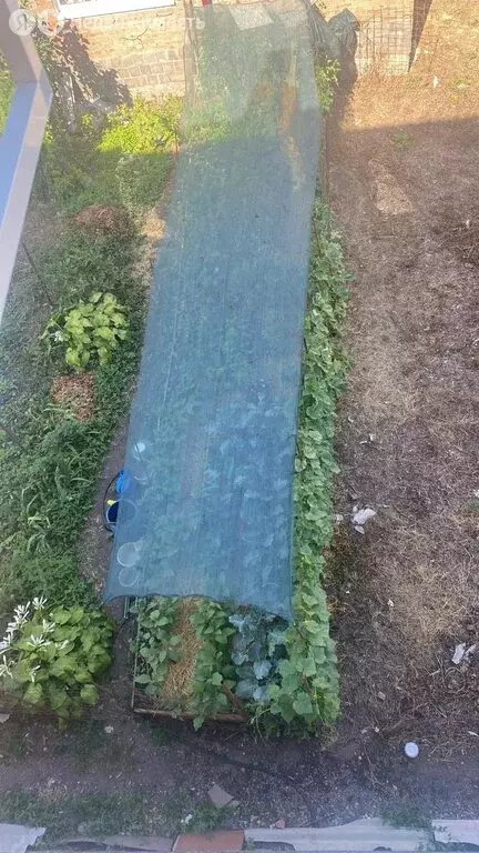 2-комнатная квартира: Беслан, Пионерский переулок, 16 (53 м) - Фото 0