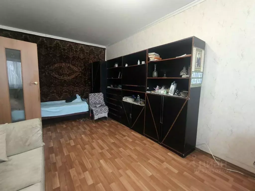 1-к кв. Московская область, Озеры Коломна городской округ, Трудовая ... - Фото 2