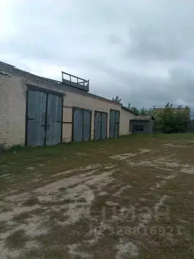 Помещение свободного назначения в Ульяновская область, Радищевский ... - Фото 2