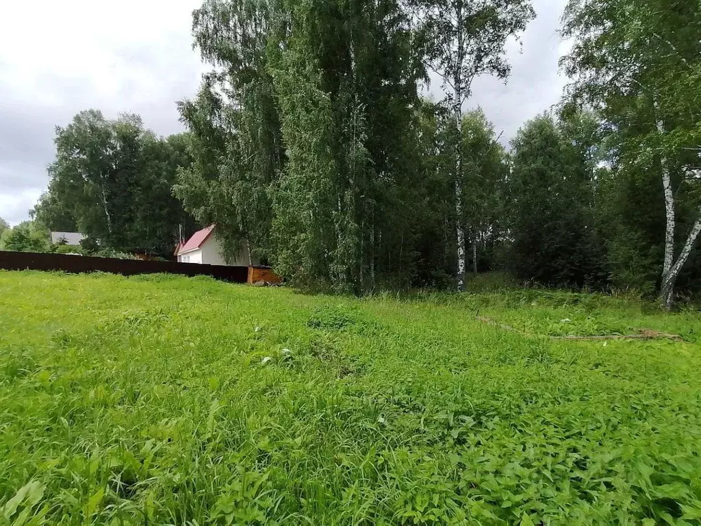 Участок в Новосибирская область, Новосибирский район, с. Барышево ... - Фото 0