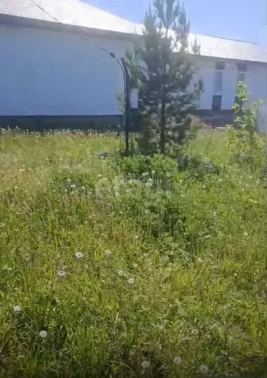 Участок в Башкортостан, Иглинский район, Акбердинский сельсовет, с. ... - Фото 0