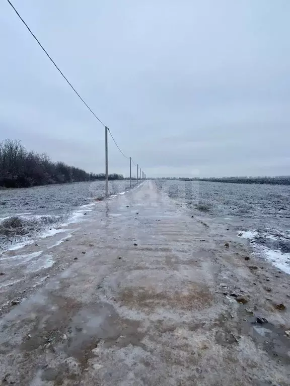 Участок в Ростовская область, Мясниковский район, Краснокрымское ... - Фото 0