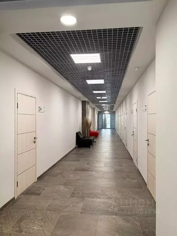 Офис в Саратовская область, Саратов ул. Имени Н.Г. Чернышевского, ... - Фото 2