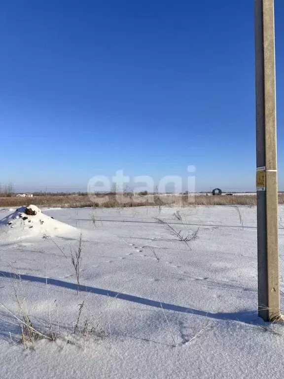 Участок в Тюменская область, Тюменский муниципальный округ, Серебряный ... - Фото 2