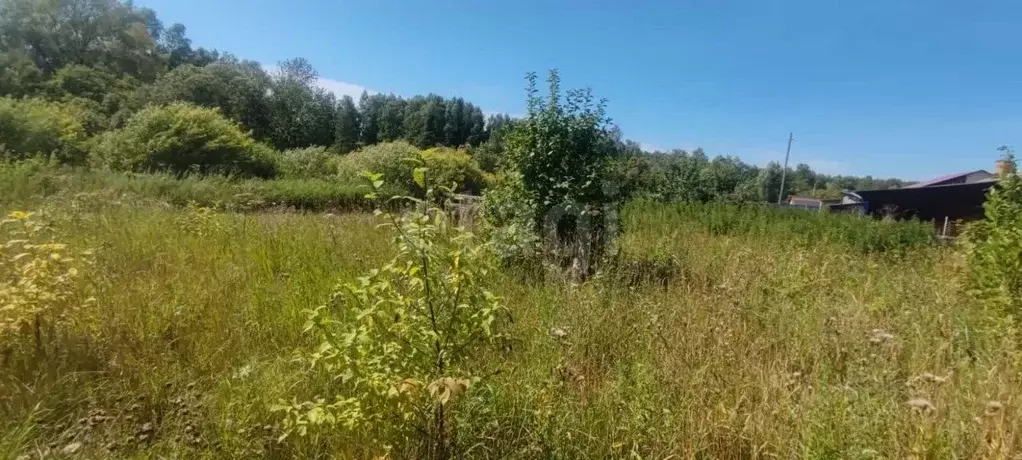 Участок в Томская область, Томский район, д. Барабинка Садовый пер. ... - Фото 1