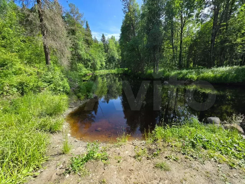 Участок 1 сот. (СНТ, ДНП) - Фото 0