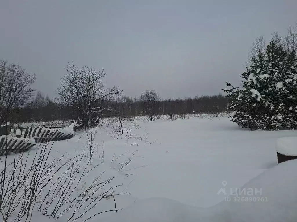 Участок в Московская область, Орехово-Зуевский городской округ, д. ... - Фото 2