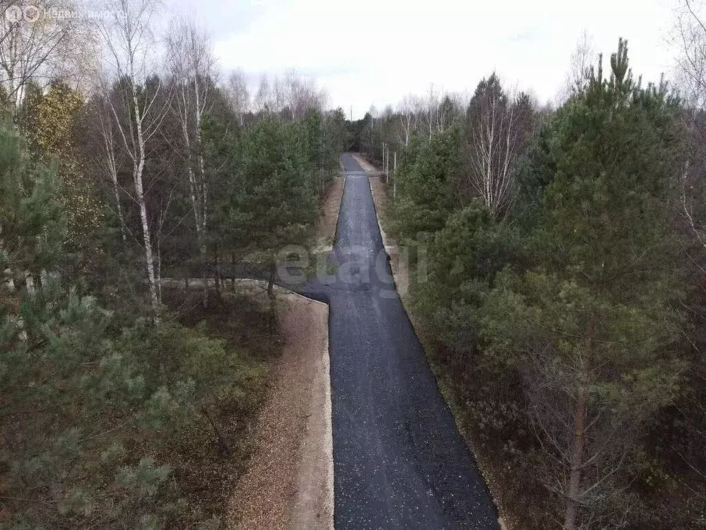 Участок в Нижегородская область, муниципальный округ Бор, село ... - Фото 1