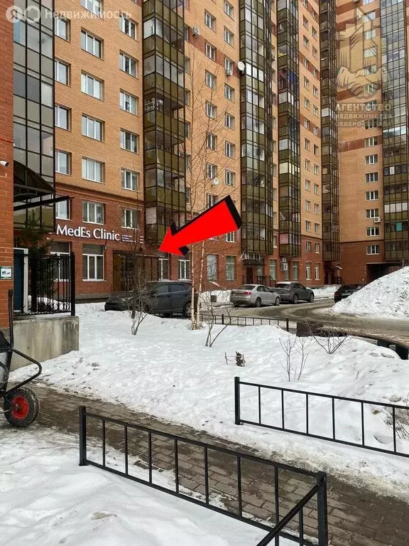 Помещение свободного назначения (266 м) - Фото 2