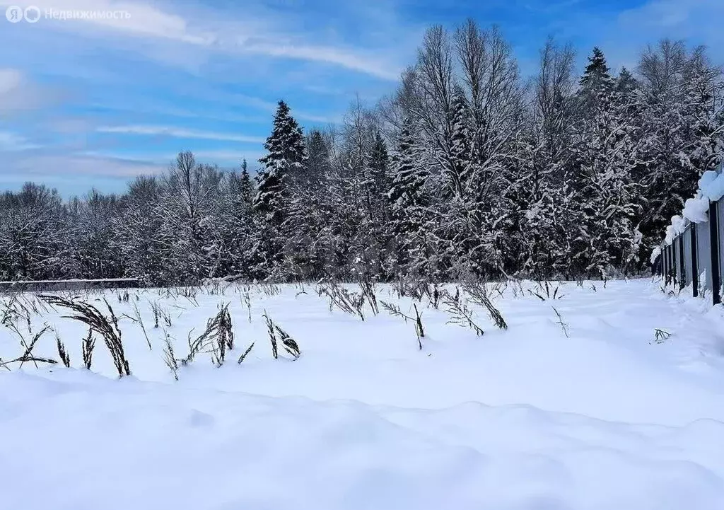 Участок в Щёкинский район, сельское поселение Лазаревское, село Царёво ... - Фото 2