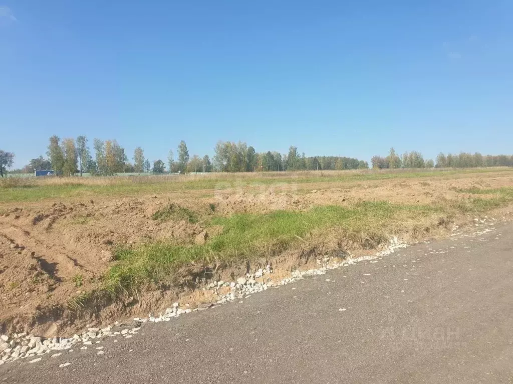 Участок в Калужская область, Калуга городской округ, д. Канищево  ... - Фото 2