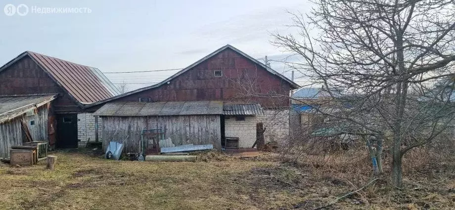 Дом в Владимирская область, округ Муром, село Борисово, улица Ленина, ... - Фото 1