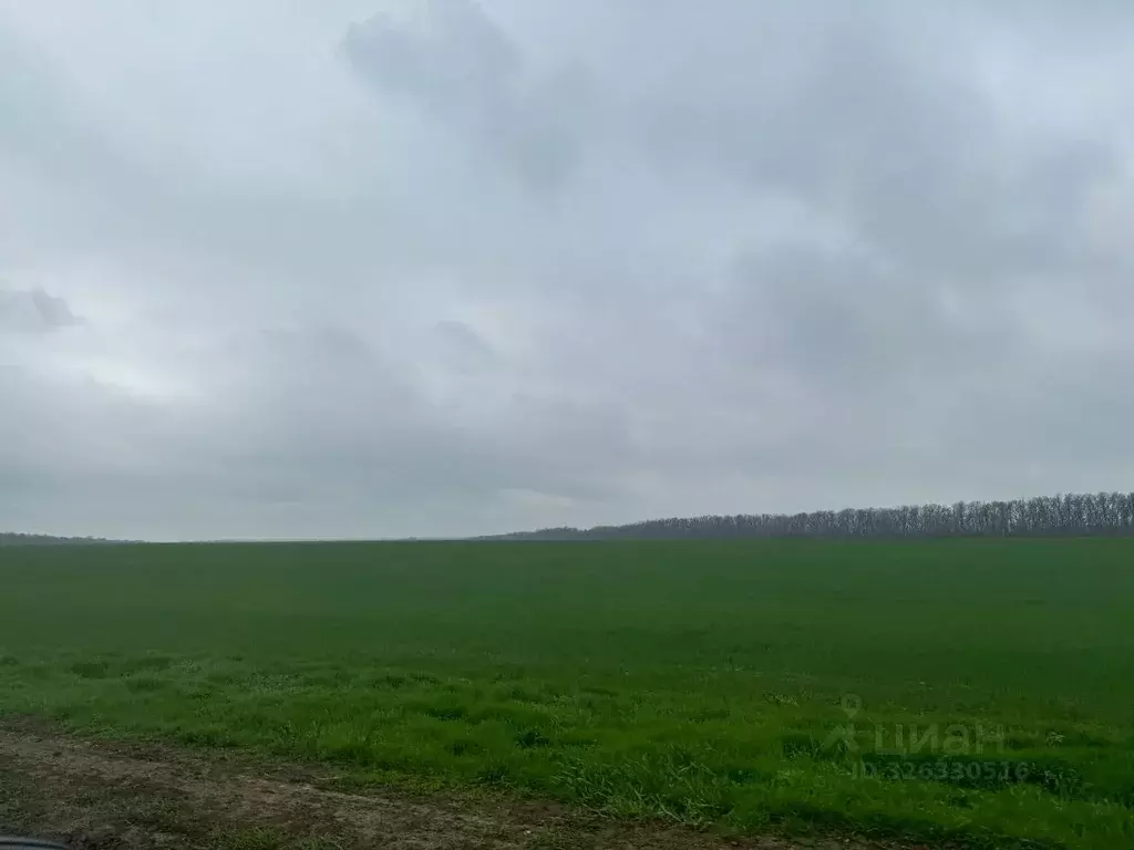 Участок в Ростовская область, Аксай ул. Павла Примакова, 17 (4.0 сот.) - Фото 2