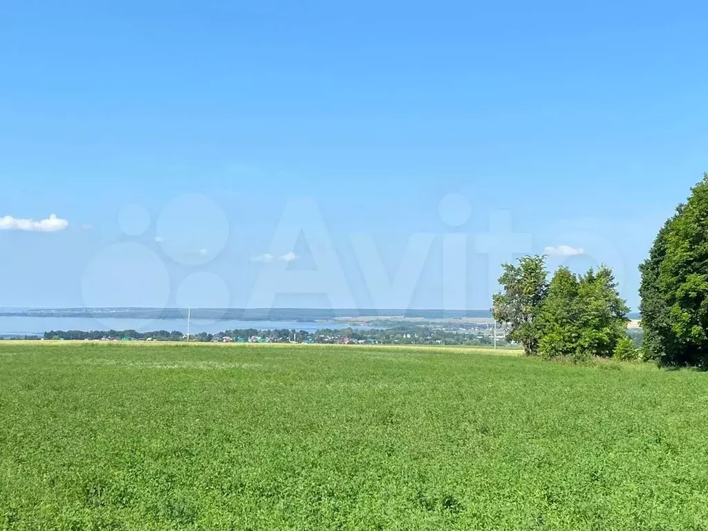 Посёлок борисово дмитровский район участки. Деревня мишнево транзитная дорога. 62 га. 62 га. 62 га.