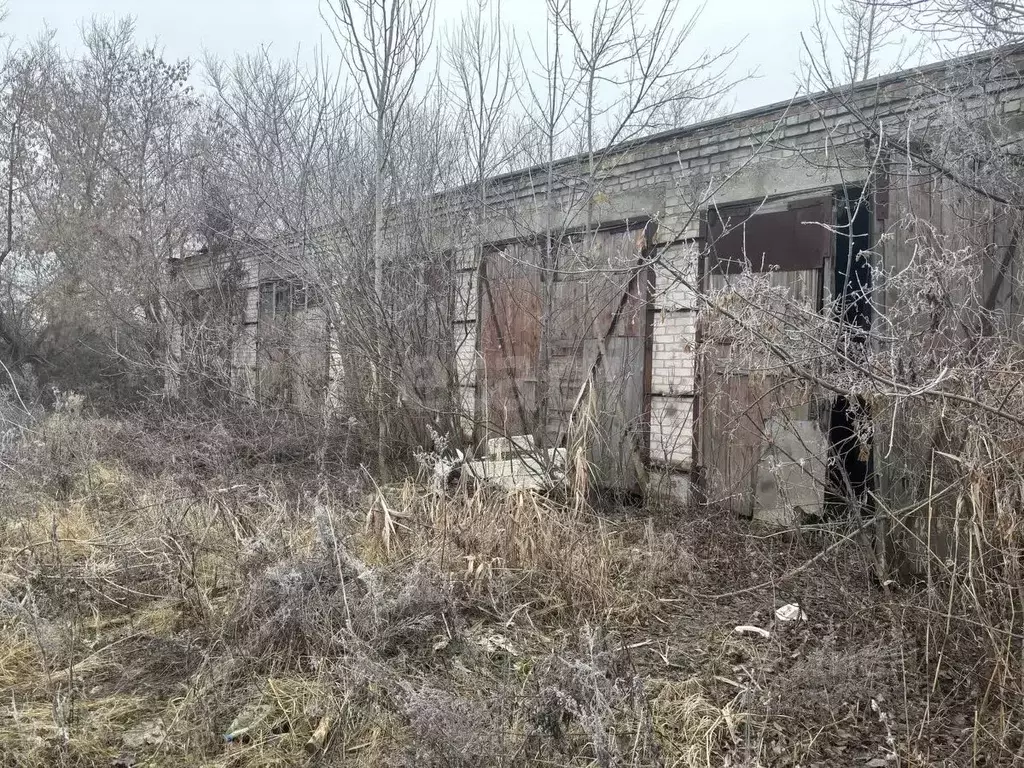 Помещение свободного назначения в Саратовская область, Балашов ул. ... - Фото 1