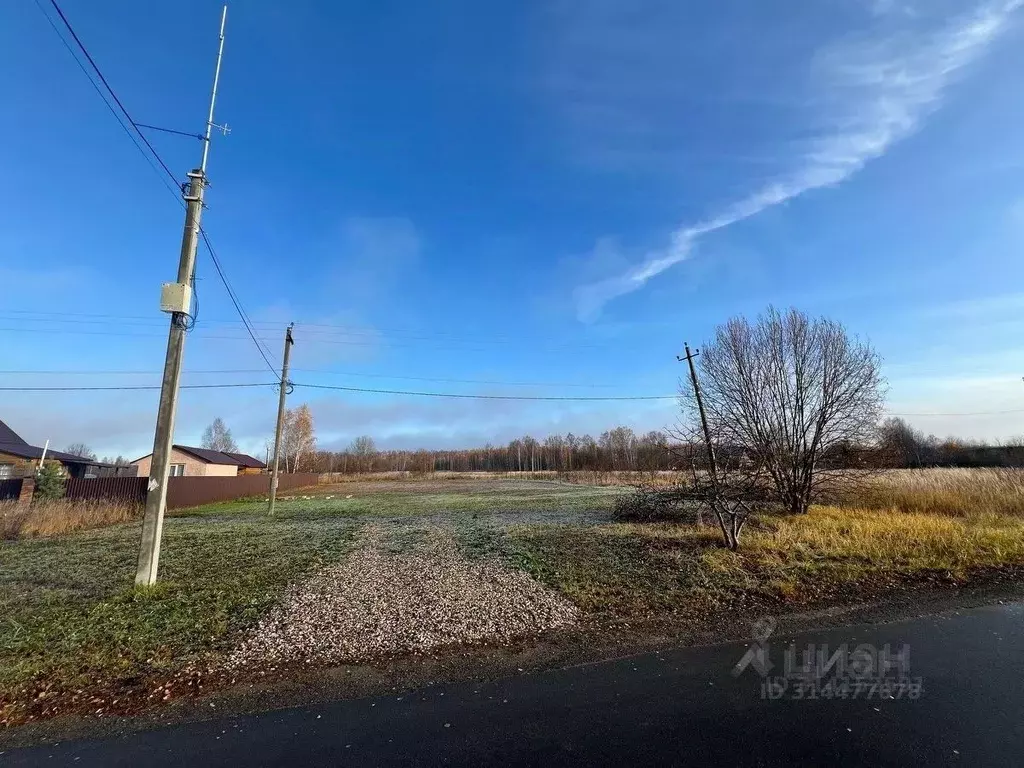 Участок в Владимирская область, Кольчугинский район, Раздольевское ... - Фото 0