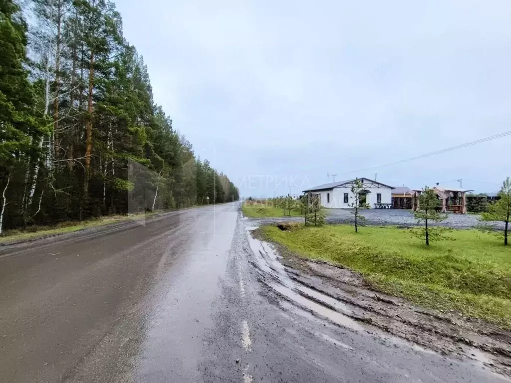 Участок в Тюменская область, Тюменский муниципальный округ, с. Кулига ... - Фото 2